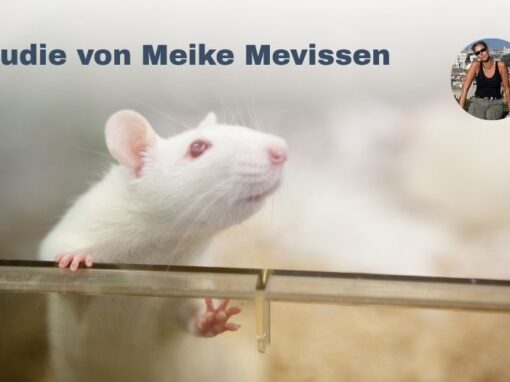 Krebsstudie an Tieren – Mevissen